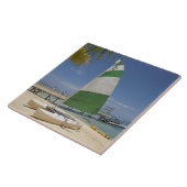 ホービーキャットプランテーションアイランドリゾート タイル (側面)