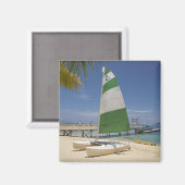 ホービーキャットプランテーションアイランドリゾート マグネット (正面/裏面)