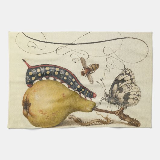 ホーフナゲル・ヴィンテージ・洋ナシと昆虫 1500年代 ルネサンス キッチンタオル (横)