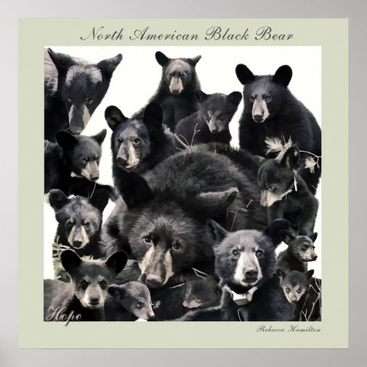 ホープのライフ ポスター (正面)