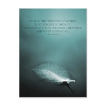 ホープは羽はがきが付いている