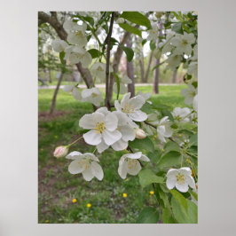 ホープは近い ポスター