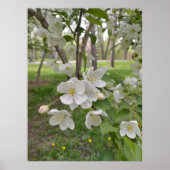 ホープは近い ポスター (正面)