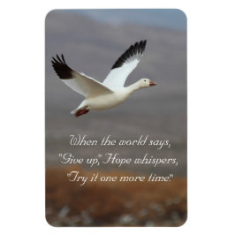 ホープウィスパーがもう一度やってみる マグネット