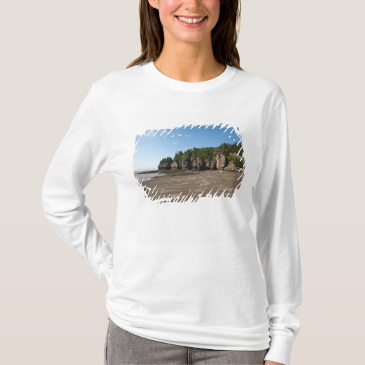 ホープウェル・ロックスと海洋潮汐探検 Tシャツ (正面)