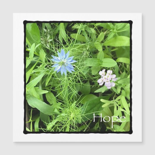 ホープスクエア磁気カード (正面)