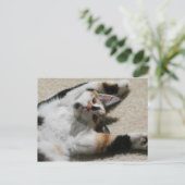 ホープズ・ポストカード ポストカード (スタンド正面)