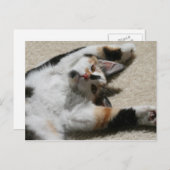 ホープズ・ポストカード ポストカード (正面/裏面)