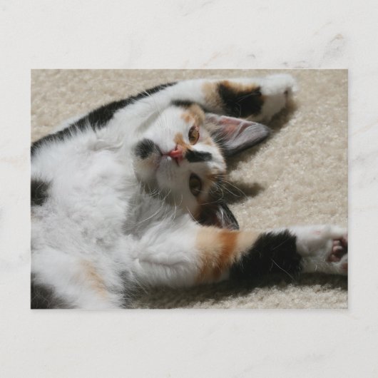 ホープズ・ポストカード ポストカード (正面)