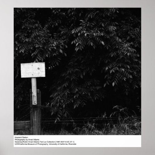 ホープランドステーションバイアンセルアダムス ポスター (正面)