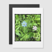 ホープ垂直磁気カード (正面/裏面)