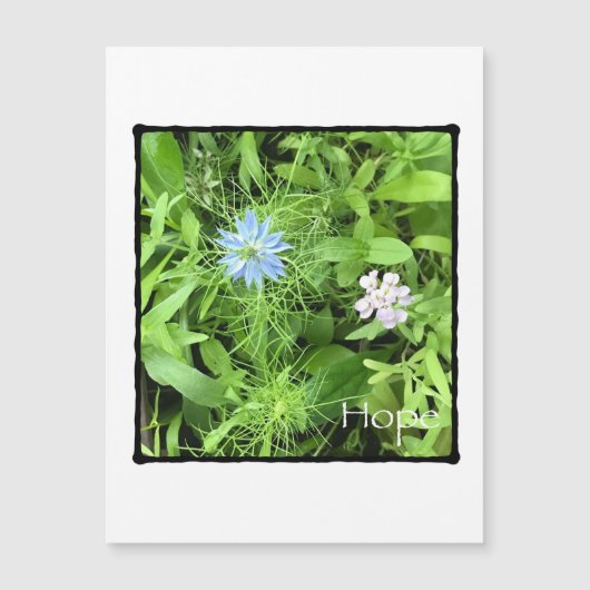 ホープ垂直磁気カード (正面)