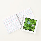 ホープ広場 ノートブック (内部)