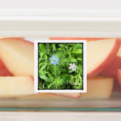 ホープ広場 ラベル (貼付)