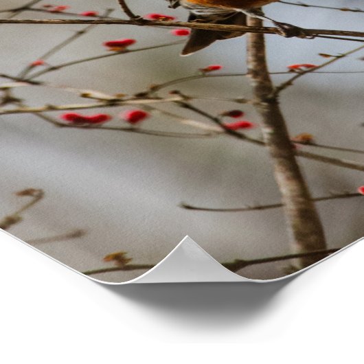 ホープ感動的エミリーディキンソンバード引用文 ポスター (角)