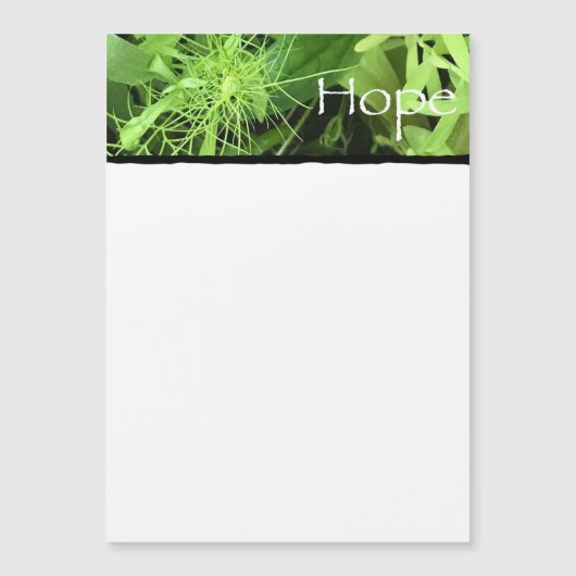 ホープ磁気カード (正面)