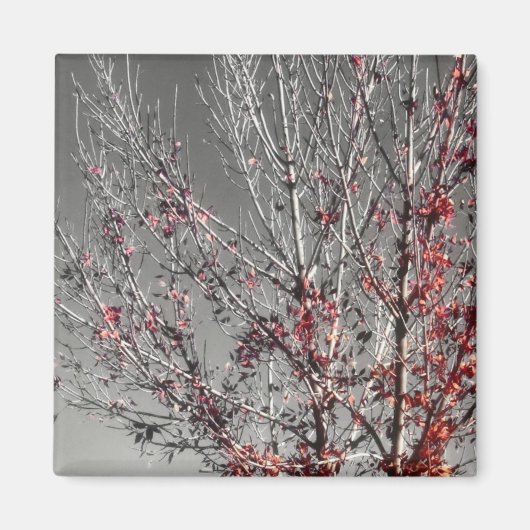 ホープ磁石の木 マグネット (正面)