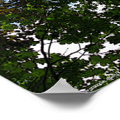 ホープ青来空 ポスター (角)