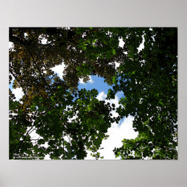 ホープ青来空 ポスター