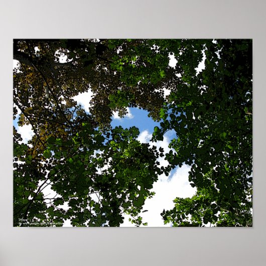 ホープ青来空 ポスター (正面)