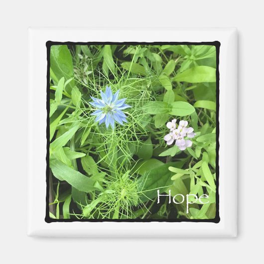 ホープ2インチスクエア マグネット (正面)