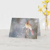 ホープ、女赤（鳥）ショウジョウコウカンチョウ折りグリーティングカード カード (黄色い花)