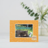 ホーマンズ ポストカード (スタンド正面)