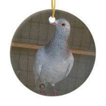 ホーマーのオーナメントの競争