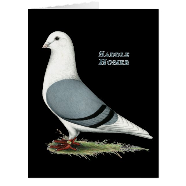 ホーマーブルーサドル (正面)