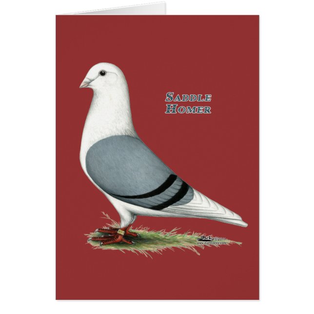 ホーマーブルーサドル (正面)