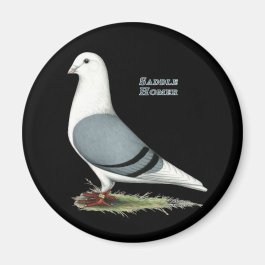 ホーマーブルーサドル マグネット (正面)