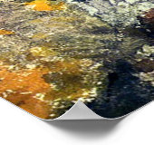 ホーマー – アディロンドックウッズ ポスター (角)