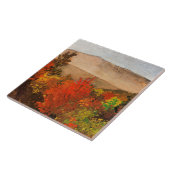 ホーマー – 秋の木々 タイル (側面)