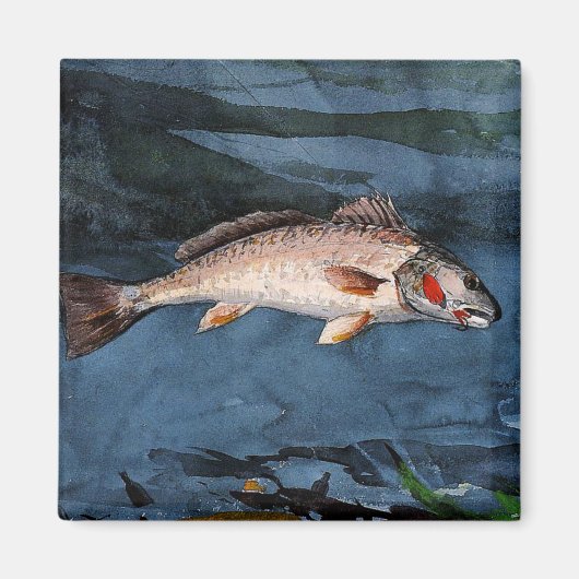 ホーマー – Channel Bass（フロリダ州） マグネット (正面)