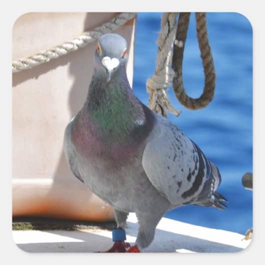 ホーミンピジョン スクエアシール (正面)