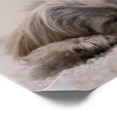 ホームあなたのシーズー(犬)Tzuがある ポスター (角)