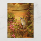 ホームを探している。 ポストカード (正面)