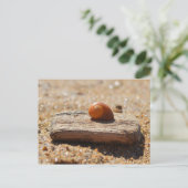 ホームオンザビーチ ポストカード (スタンド正面)