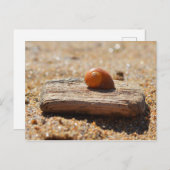 ホームオンザビーチ ポストカード (正面/裏面)