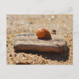 ホームオンザビーチ ポストカード