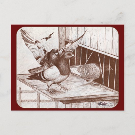 ホームカミングホームマーズ ポストカード (正面)