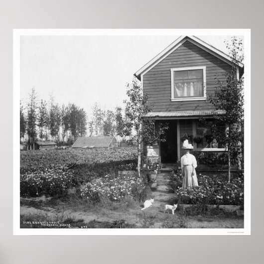 ホームキャッツフェアバンクスアラスカ1916 ポスター (正面)