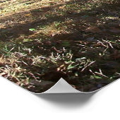 ホームキャンバス ポスター (角)