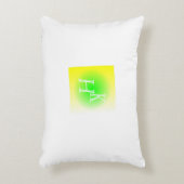 ホームキング アクセントクッション (正面(垂直))