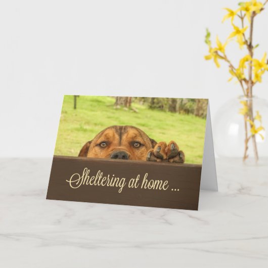 ホームサポートカードコロナウイルスでのシェルター カード (黄色い花)