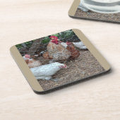 ホームステッド鶏の魅力 コースター (左側)