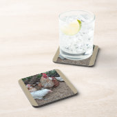 ホームステッド鶏の魅力 コースター (右側)