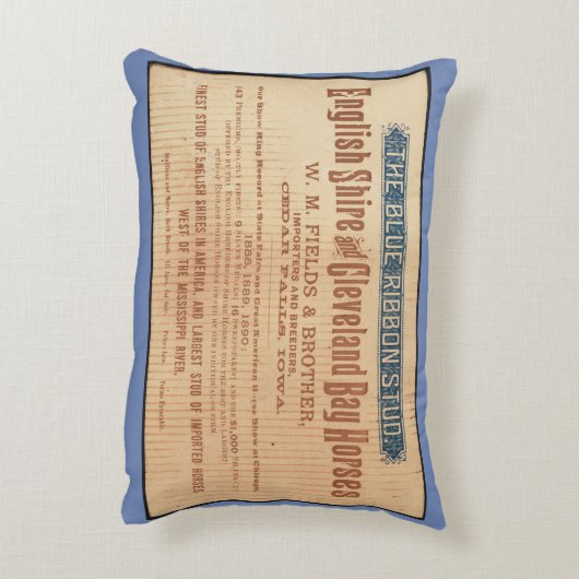 ホームデコレユニークーションのホームデユニークコーアクセサー アクセントクッション (裏面(縦))