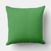 ホームデコールアクセント緑 クッション (裏面)