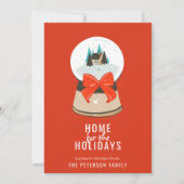 ホームフォーザホリデーズスノー図解入りの、写真付きのグローブ シーズンカード (正面)